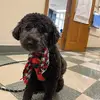 Amy Becker - @amy.becker67 - TikTok