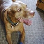 Amy Beckman - @beckman5243 - Instagram