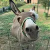 Amy Beeler - @a.beeler - TikTok