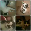 Amy - @amybeil345567890 - TikTok