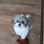 Amy Beil - @beil1191 - Instagram