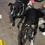 Amy Beil - Facebook