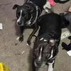 Amy Beil - @amy.beil - TikTok