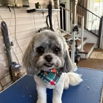 Amy Beil - Facebook