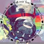 Amy Beil - @amy.beil.9 - Instagram