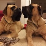 Amy Beilfuss - @amybeilfuss - Instagram
