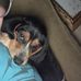 Ami Belcher - Facebook