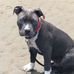 Amy Jill Bence - Facebook