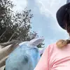 Amy Bergstrom - @amybergstrom51 - TikTok
