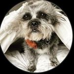 @amy_bergstrom_dalrymple - Instagram