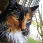 Amy Beverly - @beverlyamy1 - Instagram