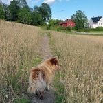 Amy Beyer - @beyer321 - Instagram