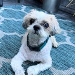 Amy Bidwell - @amybid - Instagram