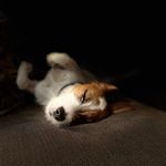 Amy Bidwell Marshek - @mamamarshek - Instagram