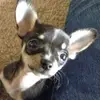 amybidwell470 - @amybidwell470 - TikTok