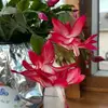 Amy Biese - @amybiese - TikTok