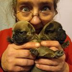 Amy Price - @amy.billman.5 - Instagram