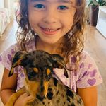 Amy Rosal Yoshida - @amy_dasch_blackmerle_ - Instagram