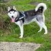 Amy Blakemore - Facebook