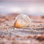 Amy Blank - @amyblankphoto - Instagram