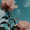 𝙿𝚎𝚊𝚌𝚑𝚢🍑 - @amy.bliss - TikTok