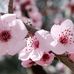 Amy Blossom - Facebook