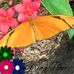 Amy Blubaugh - Facebook