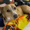Amy Boley693 - @amyboley0 - TikTok