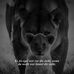 Amy Bollmann - Facebook