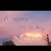 amy bone chavez - @amybonechavez - TikTok