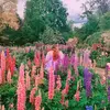 Amy Booker|Oregon Photographer - @amybookerphoto - TikTok