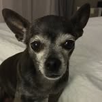 Amy Bouck - @thelowerleftcorner - Instagram