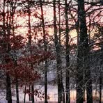 Amy Bourgeois - Facebook