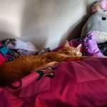 Amy Bourgeois - @bourgeoisamy536 - Instagram
