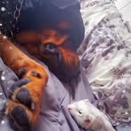 Amy Bower - Facebook
