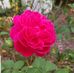 Amy Braswell - Facebook