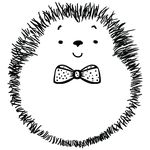 Amy Braswell - @hedgehogfamilyportraits - Instagram