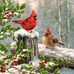Amy Breeden - Facebook