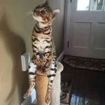 Amy Breeden Johnson - @amy_breeden_johnson - Instagram