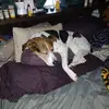 amybrett24 - @amybrett24 - TikTok