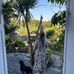 Amy Bridge - Facebook