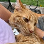 Amy Bridges Wheeler - @boots_around_glendover - Instagram