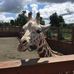 Amy Brinker - Facebook