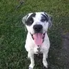 Amy Brinson Sandlin - @amychele78 - TikTok