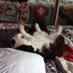 Amy Bristow - @bristow2357 - Instagram