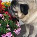 Amy Bromberg - Facebook