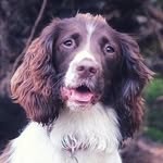 Amy Brook - @amybrookphotography - Instagram