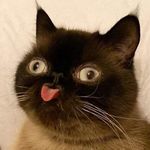 Amy Brooksbank - @amybrooksbank - Instagram