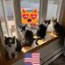 Amy Brownlow - Facebook