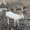Amy Bucek582 - @amybucek582 - TikTok